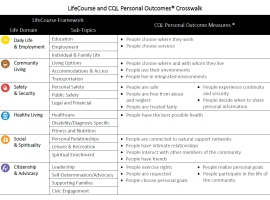 LifeCourse Showcase: Using the LifeCourse approach to enhance Quality Assurance