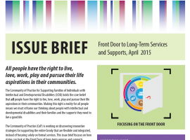 Focusing on the Front Door Innovations Series Issue Brief now available!
