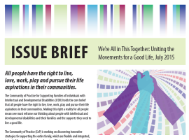 Read the latest Triad Approach Innovations Series Issue Brief!
